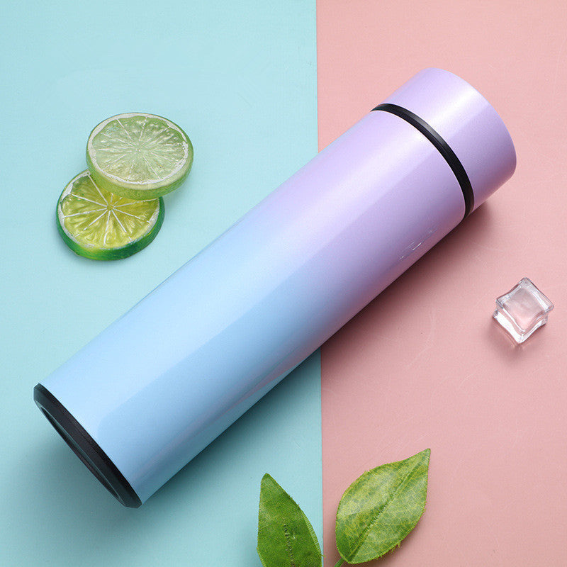 Gradient Stainless Steel Thermos – Smart Temperature Display Vacuum Flask (500ml)