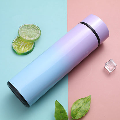 Gradient Stainless Steel Thermos – Smart Temperature Display Vacuum Flask (500ml)